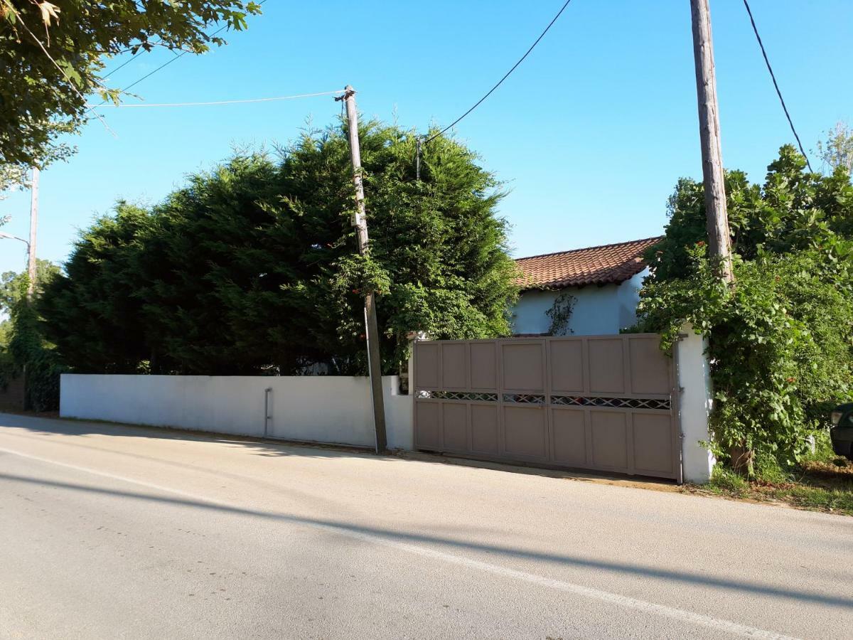 Ckiathi - Ckiaθi - Ps Rental Agia Paraskevi (Skiathos) Exterior foto